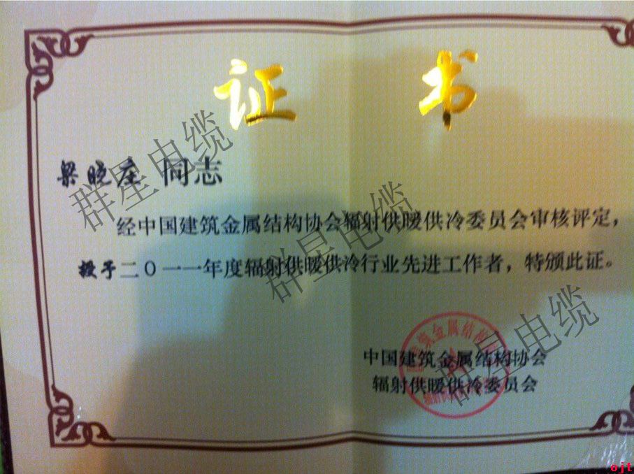 輻射供暖行業(yè)協(xié)會先進(jìn)工作者